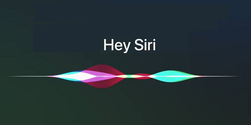 meovat-su-dung-iphone-sieu-ban-re