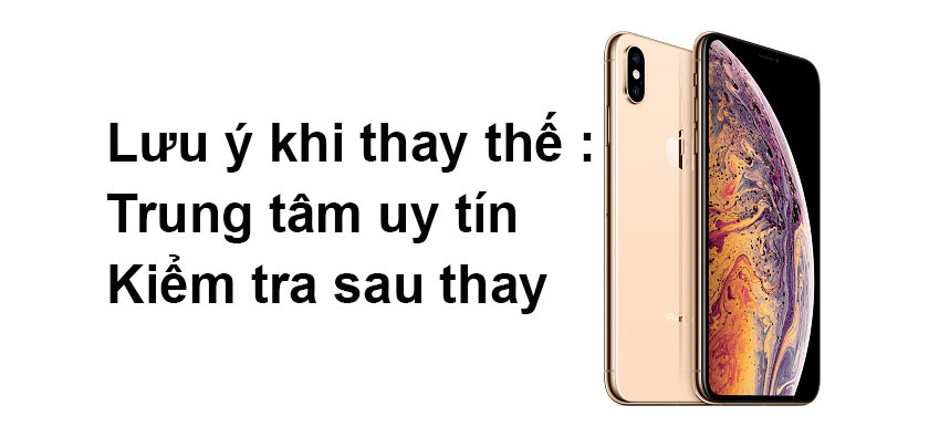 thayvo-ipxsmax-sieubanre